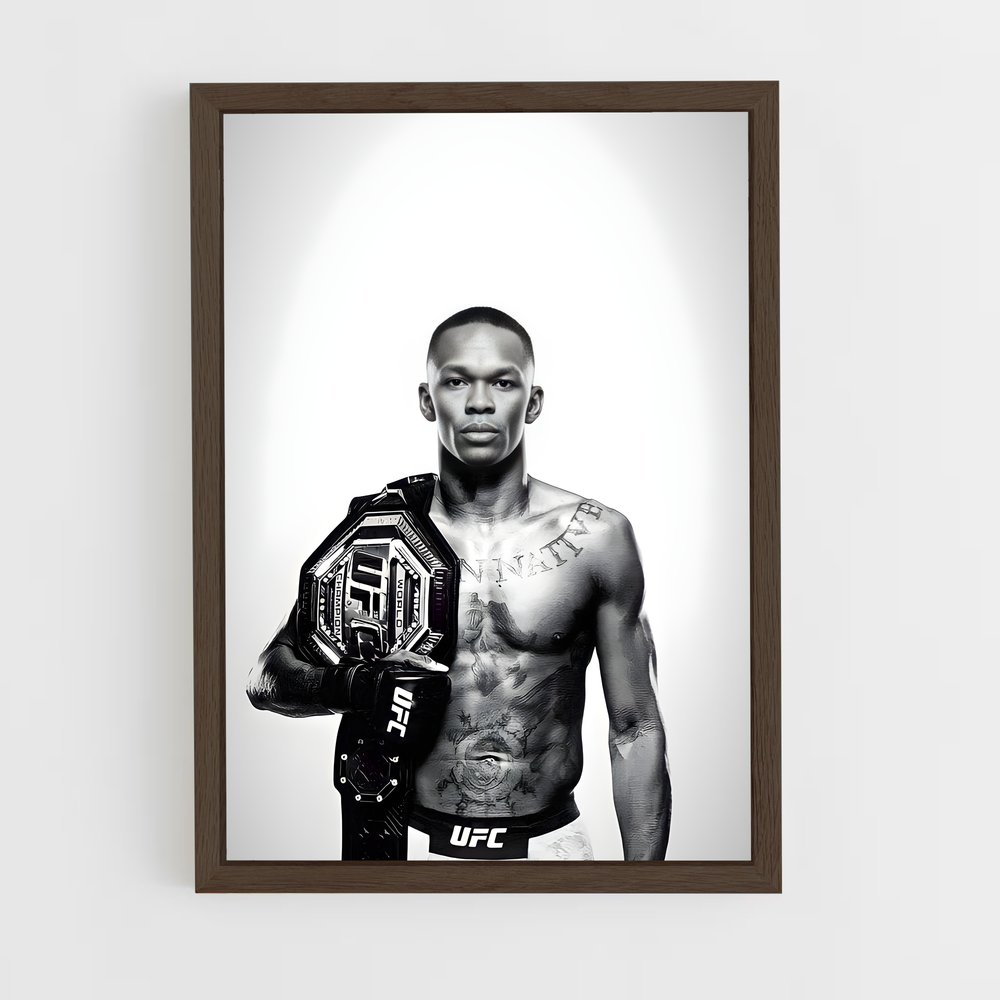 Poster The Last Stylebender – affiche MMA (vue 5)